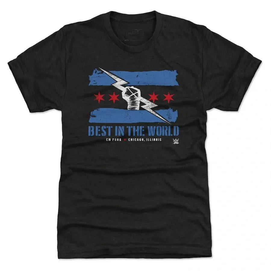 2024 Summer CM Punk T Shirt Wrestling Tshirt Vintage Cotton Boxing Champion Gym Cotton Clothes Training Tee Tops Fashion